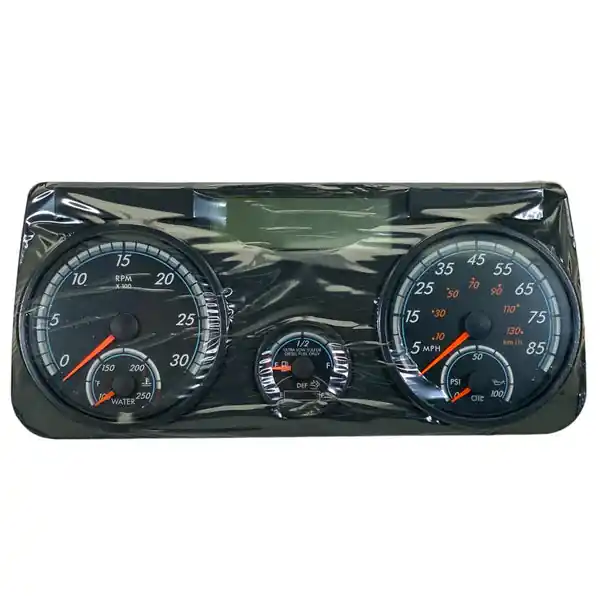 A0696829200 Genuine Freightliner Instrument Cluster