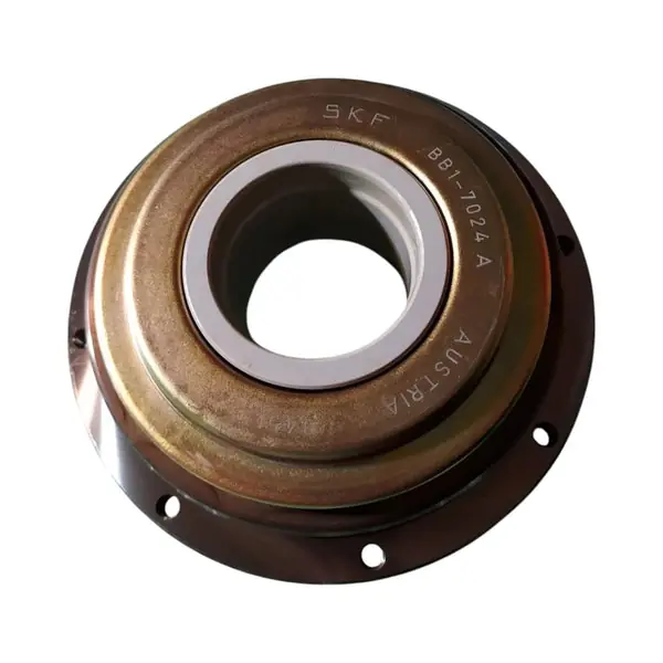 SKF Bearing