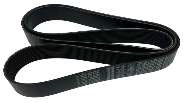 D8410006122160 Genuine Paccar Serpentine Poly Belt