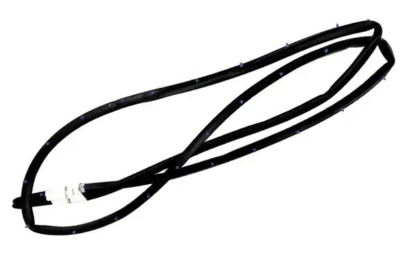 R421208 Genuine Paccar Door Seal