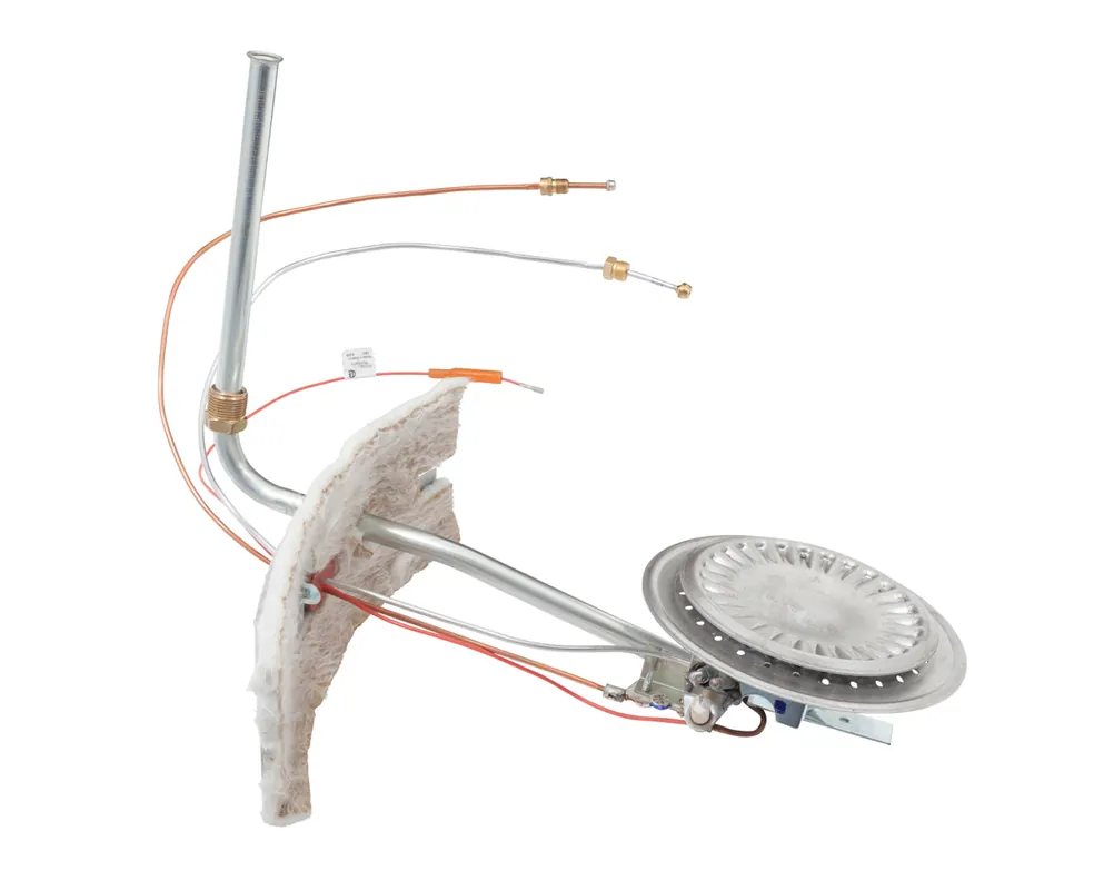 Ao Smith 9005944005 - Burner Assembly Kit (LP)