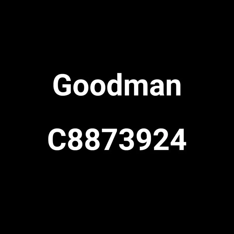 Goodman C8873924 Enclosed Relay