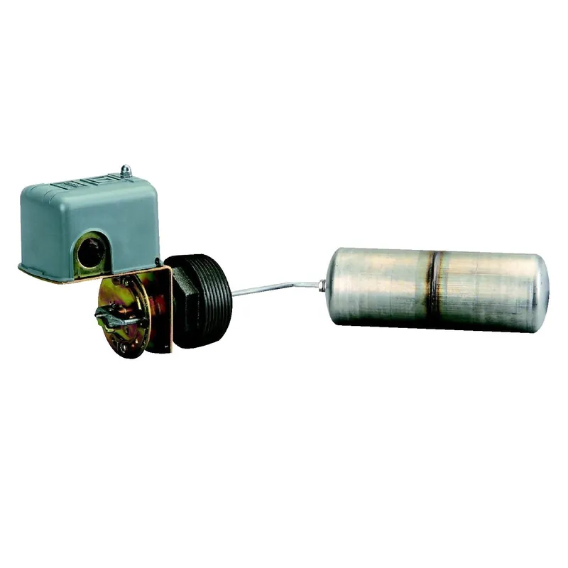SK0239172-US20260702-105043-0 Schneider Electric SQD9037HG33 Square D Float Switch 2.5 MNPT Black - Image 1
