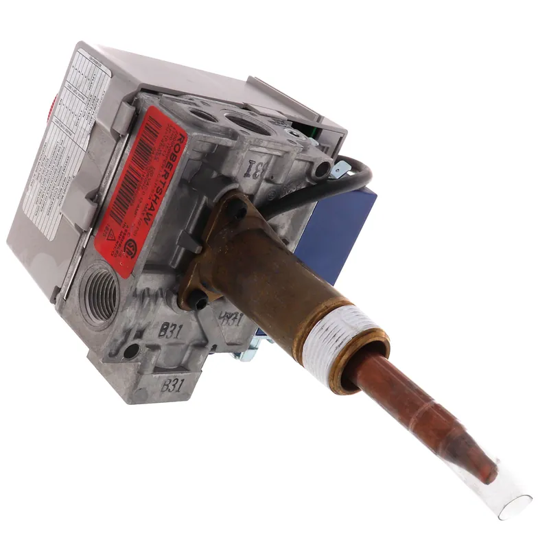 SK0239858-US20260702-105043-0 Rheem-Ruud SP20162A Combination Control Kit, LP - Image 1