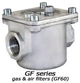 Maxitrol GF60-88-A-0 Gas Filter 1 Inch