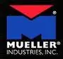 Mueller 730181 Union PVC Sch 80 1 in. Replacement MPN
