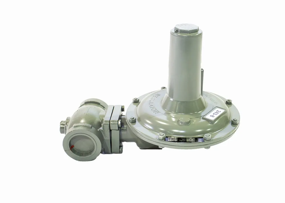 SK0248959-US20260702-105043-0 Sensus-Gas Division 243-8-2 - 2"Std1/2"Orf 2-4.25#Sprg 10' - Image 1