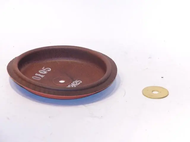 SK0254097-US20260702-105043-0 Armstrong International A9330 - Diaphragm (Humid 91,92,93,94) - Image 1