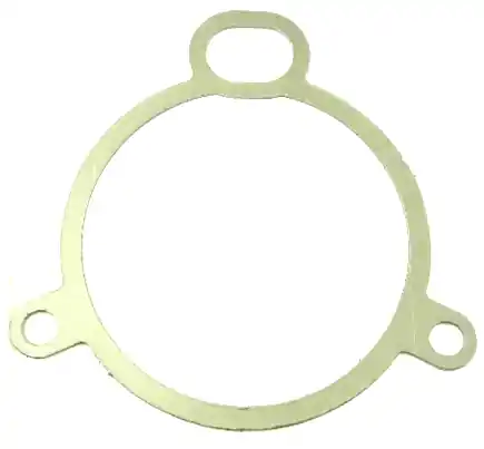 SK0254127-US20260702-105043-0 Armstrong International B6459-1 - GASKET FOR 815 - Image 1