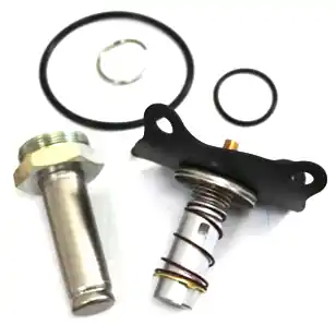 Asco 316-667 Valve Repair Kit for 8214 AC Series