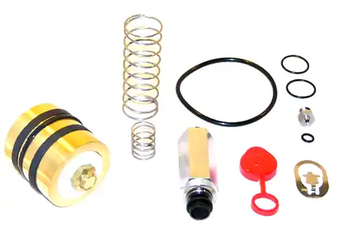 Asco 310-523 Rebuild Kit Internal Vlv Kit