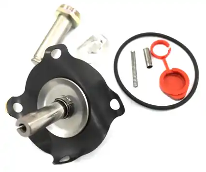 SK0254420-US20260702-105043-0 Asco 302-283-V Valve Rebuild Kit for Solenoid Valves & Coils - Image 1