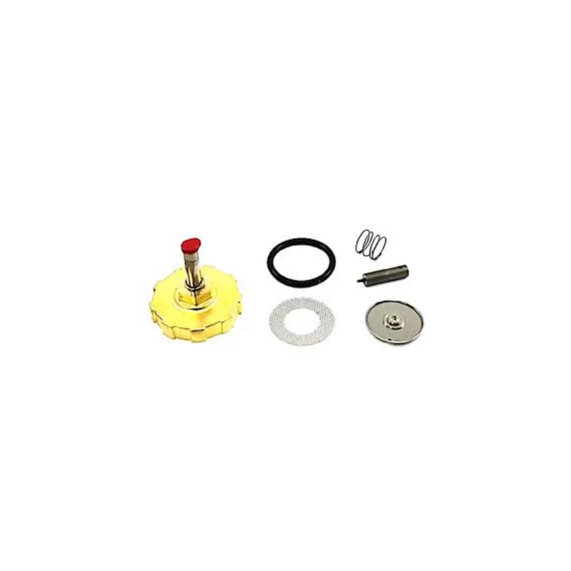 ASCO 323-480 Valve Repair Kit Rebuild Kit for Solenoid Valves