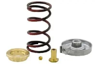 Johnson Controls VG7000-1003 Valve Spring Kit, VG7000 Series 1/2 & 3/4 Replacement MPN