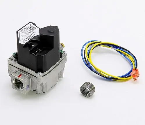 Lochinvar & A.O. Smith 100109913 - NAT GAS VALVE for Durable, Reliable Performance