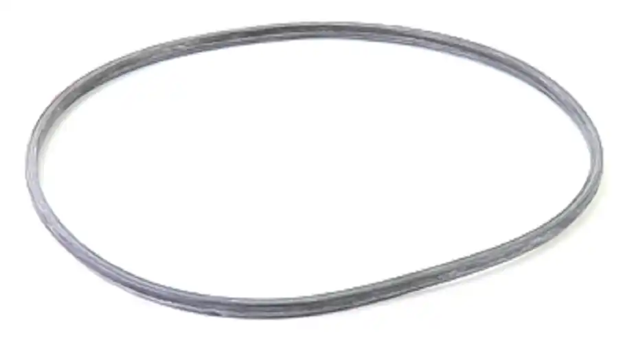 Lochinvar & A.O. Smith 100208088 - RUBBER DOOR GASKET