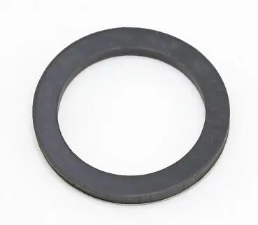 Lochinvar & A.O. Smith 100233690 - FLANGE GASKET