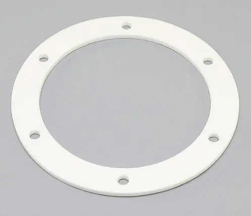 Lochinvar & A.O. Smith 100187869 - BURNER PLATE GASKET