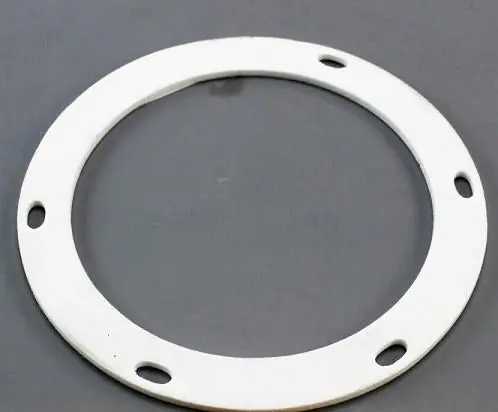 SK0261234-US20260702-105043-0 Lochinvar & A.O. Smith 100146322 - GASKET - Image 1