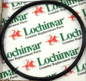 Lochinvar & A.O. Smith 100208761 - VENTURI GSKT F/KBN399