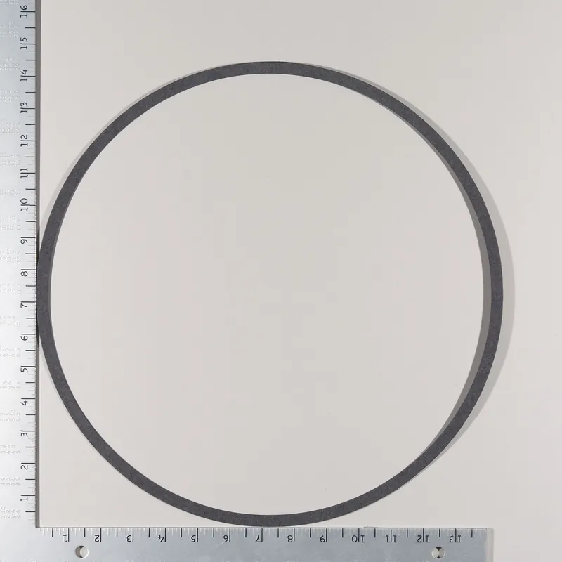 Bell & Gossett P80758 Volute Gasket