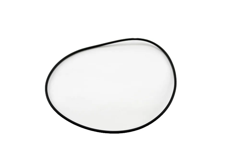 Lochinvar & A.O. Smith 100233698 - Venturi Gasket
