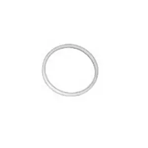 Copeland 020-0028-03 Valve Seal Gasket 1-3/4 12 Thread Teflon
