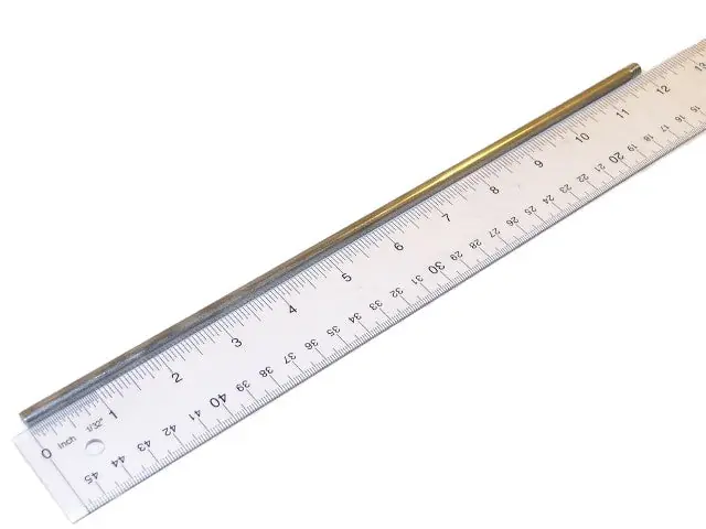 Warrick-Gems Sensors & Controls 3R1C0 1' SS Probe