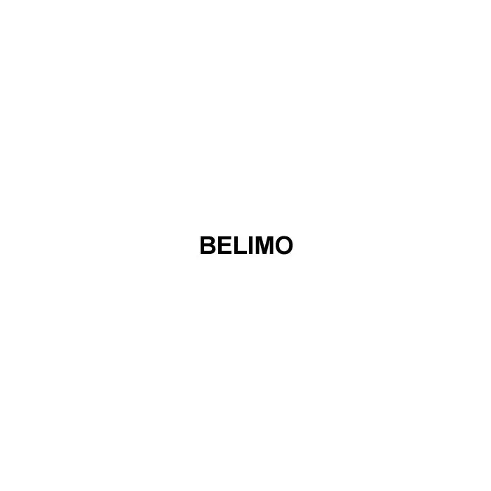 SK0273923-US20260702-105043-0 Belimo B309+TFRB120 CCV 3-Way 0.8 Cv Spring Return Actuator - Image 1