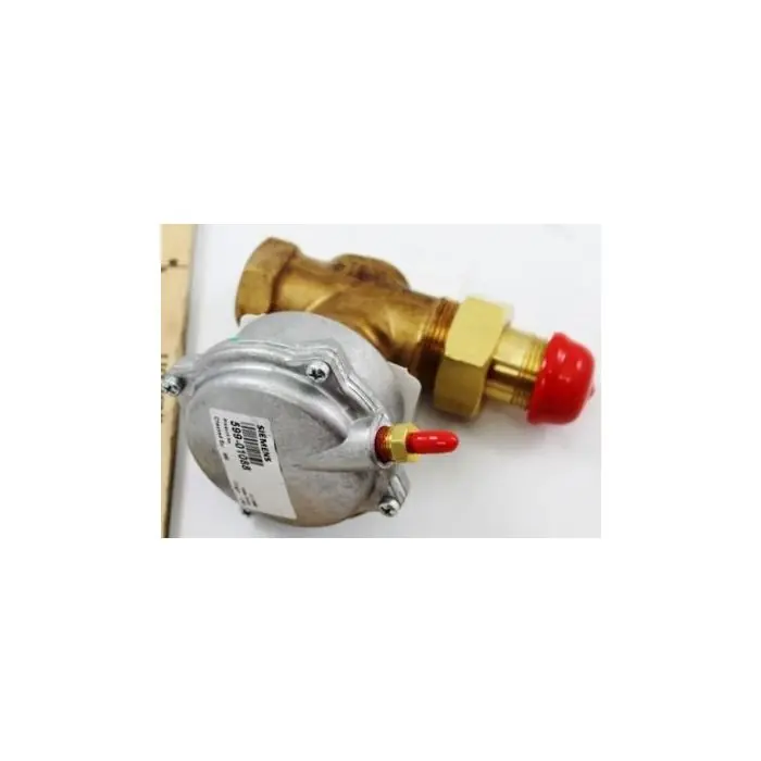 SK0274066-US20260702-105043-0 SIEMENS 256-02062A - Image 1