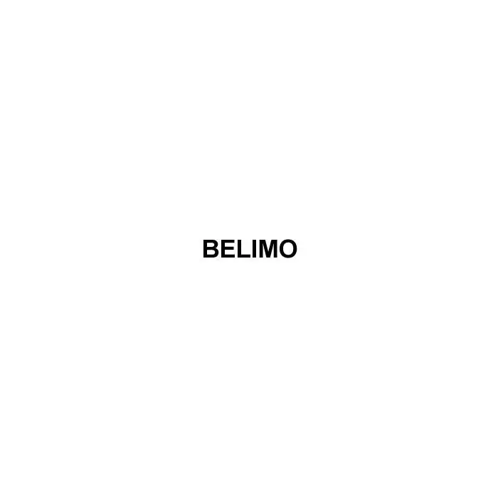 Belimo B249+AFRB24-SR 2-Way CCV SS Trim Spring Return 24V Modulating