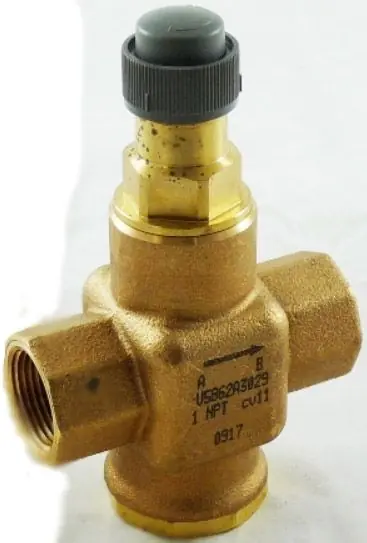 SK0275478-US20260702-105043-0 Honeywell V5862A3029 Brass Globe Valve NPT Connection - Image 1